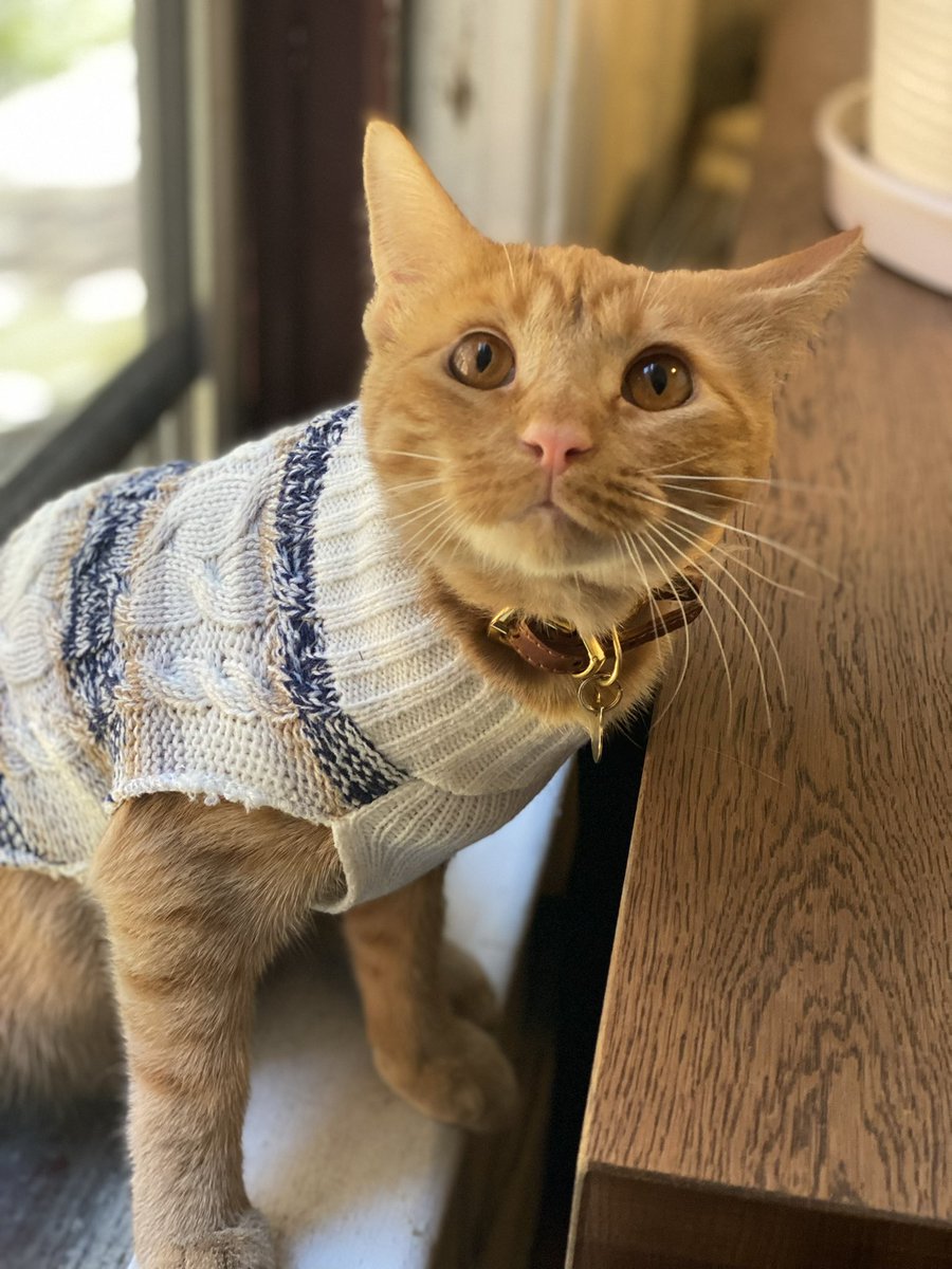 Colin Hamill tweet media