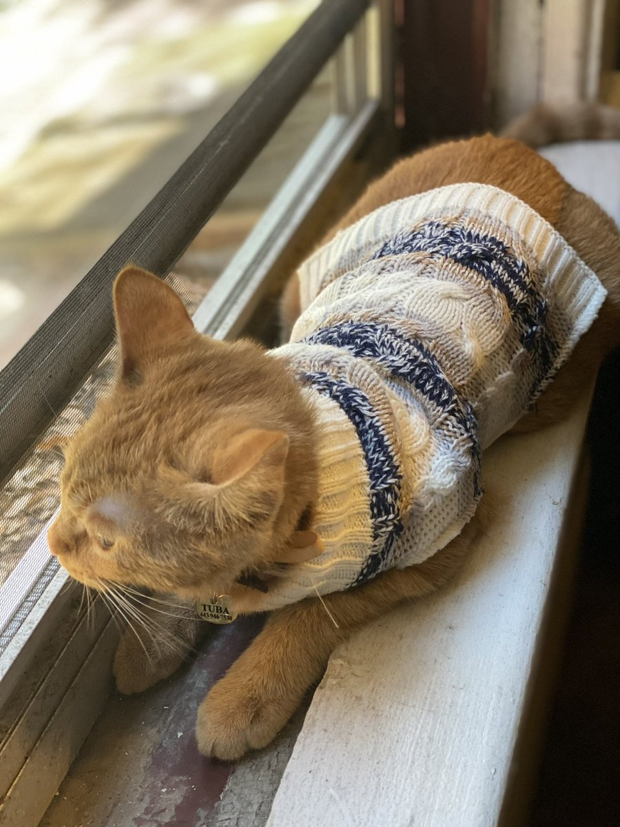 Colin Hamill tweet media