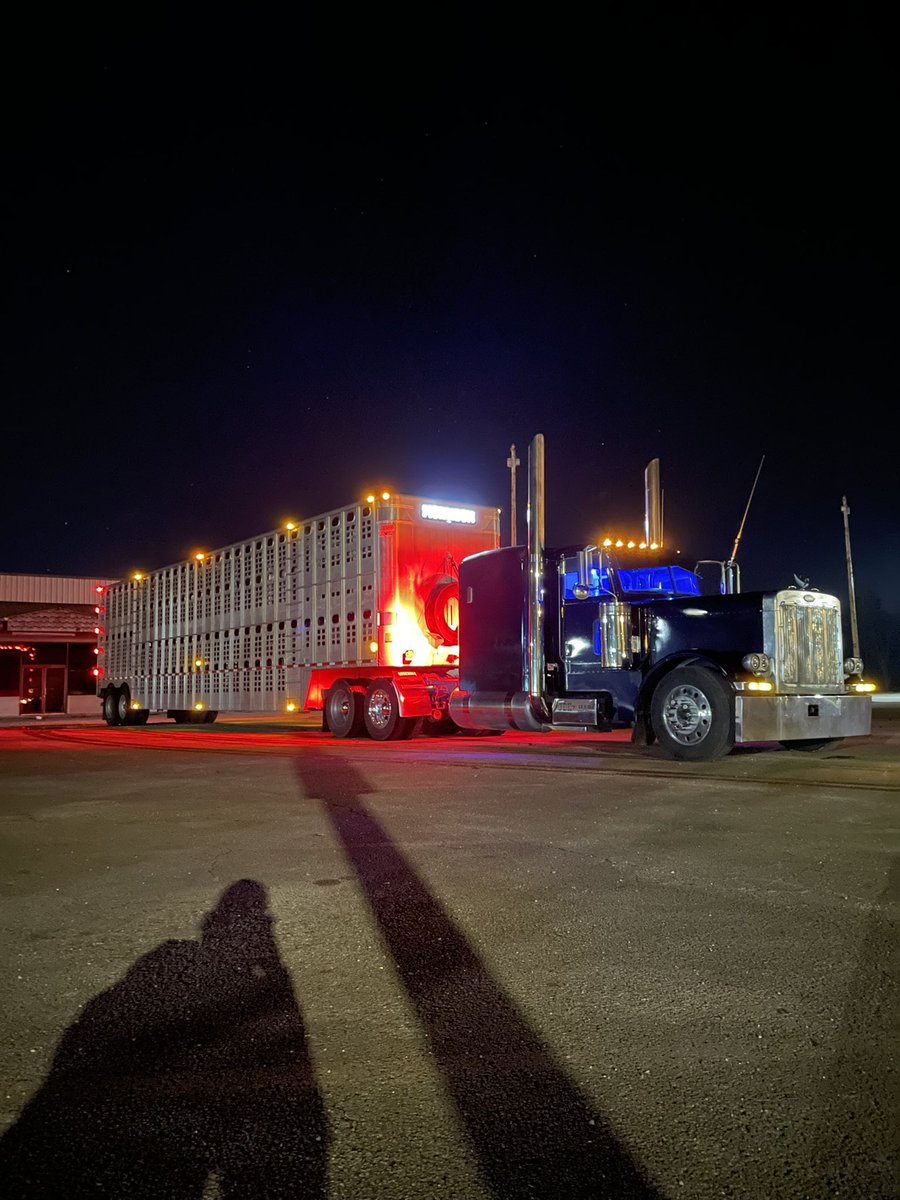 Im going to get called in for flashing red and blue lights.