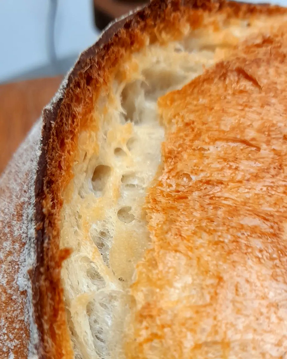 Ivycottagebaker's tweet photo. #freshbaked #freshbread #breadear like waves about to crash on the beach the #glutenstrands holding it all together #breadporn #flourwatersalt #naturalfermentation #healthybread #realbread #breadheroes21 #wearerealbread #sourdough #awardwinning #microbakery #madeincumbria https://t.co/85a4gcSauZ