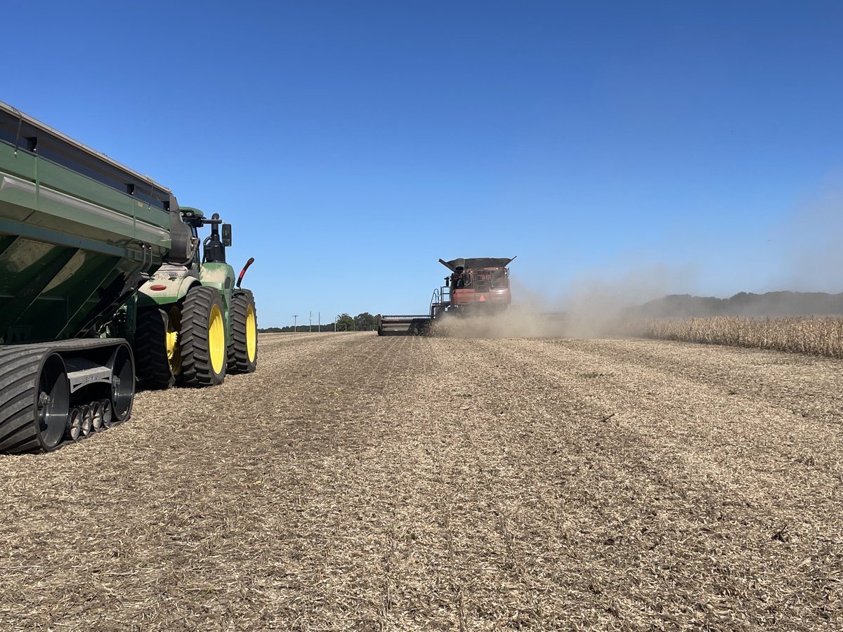 What percent of combines would have switched back to beans today? #alot 🌞🌞 #ontag