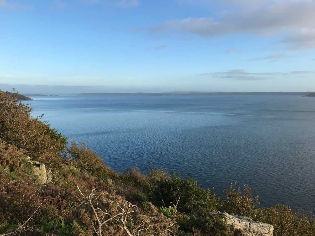 MarieQuetier's tweet photo. Excellent week-end 🤩
🎭 théâtre Dromesko #Brest
🌡️ fresque du climat avec #CostourPoumonVertFinistère
🌳 balade dans la vallée du #Costour avec #CPVF et @LaCouleeVerteRK avec notamment la découverte du lavoir de Kermeur en cours de restauration
👟 promenade à #PlougastelDaoulas https://t.co/fPSn6OKyVn