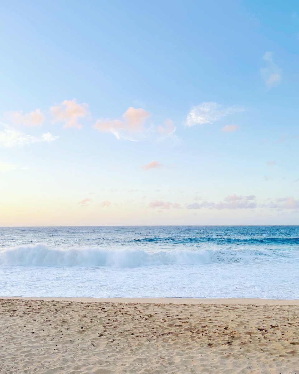 Paradise Cove Paradisecovehi Twitter