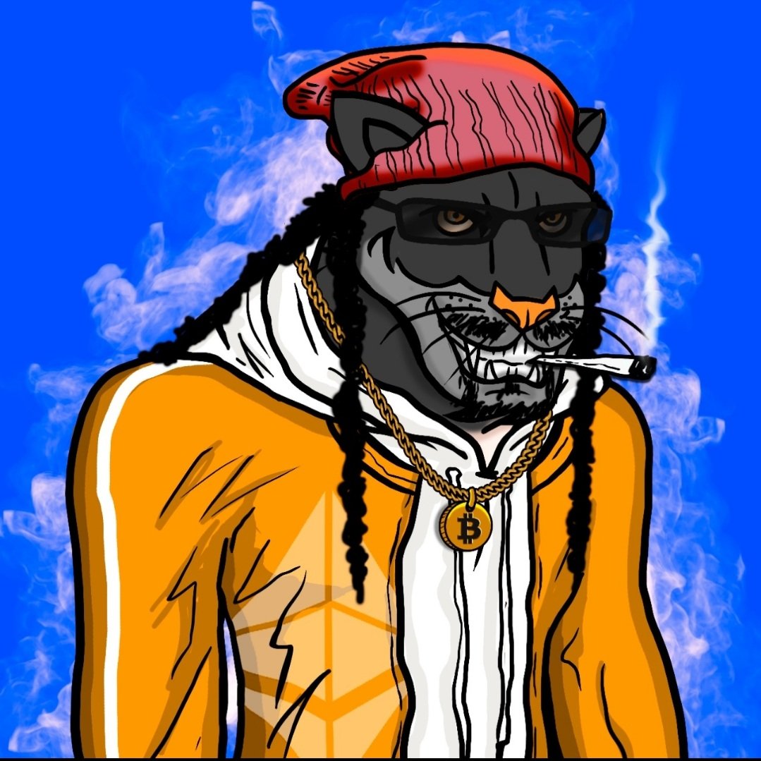 PowerJags tweet media