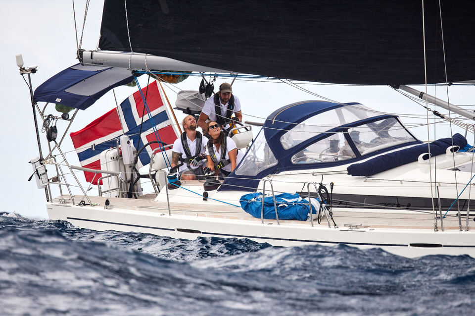 World Cruising Club tweet media