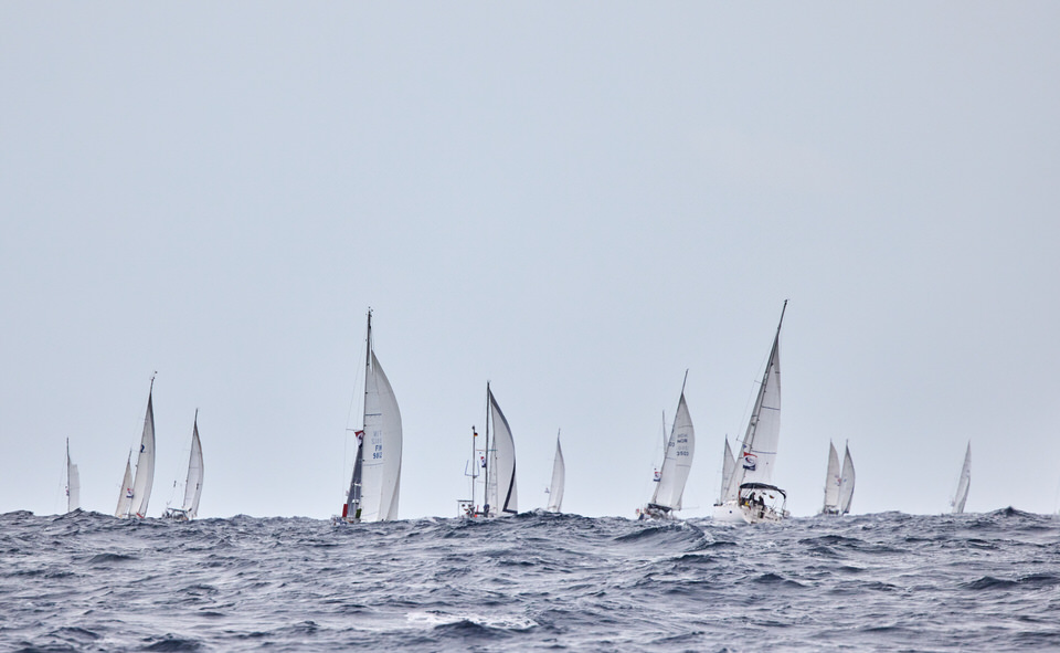 World Cruising Club tweet media