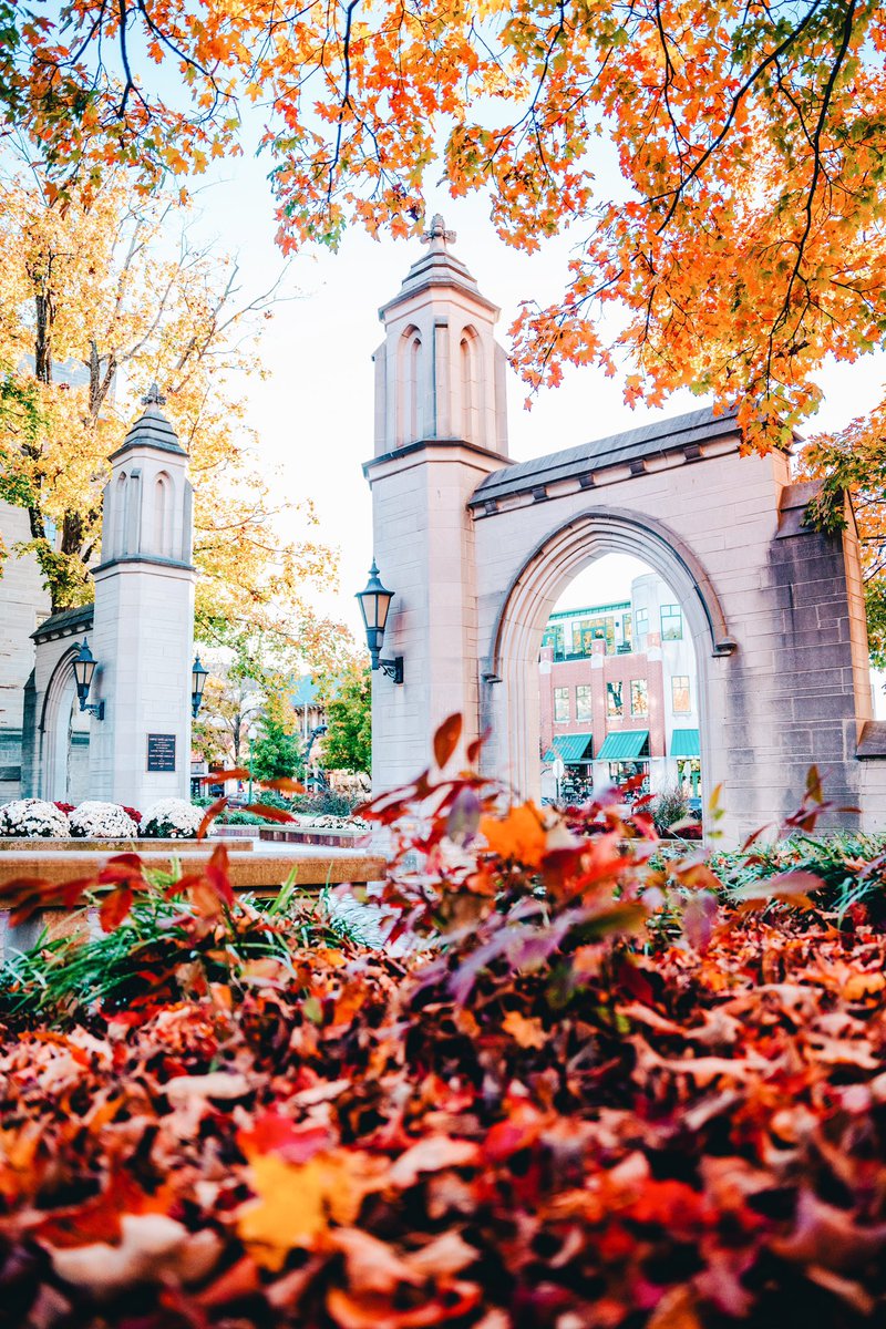 alexpaulphoto's tweet photo. Indiana University = The most beautiful campus in the country. https://t.co/ImjIrFwuuJ