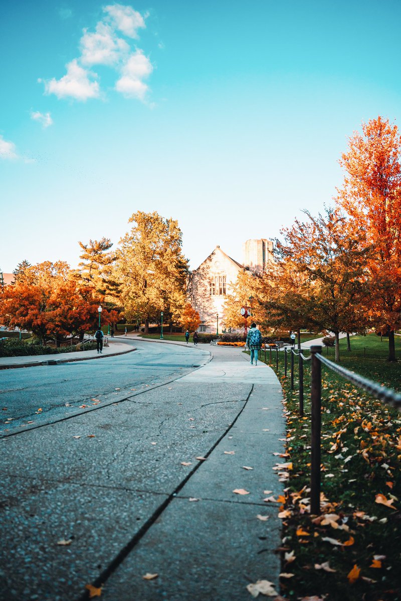 alexpaulphoto's tweet photo. Indiana University = The most beautiful campus in the country. https://t.co/ImjIrFwuuJ