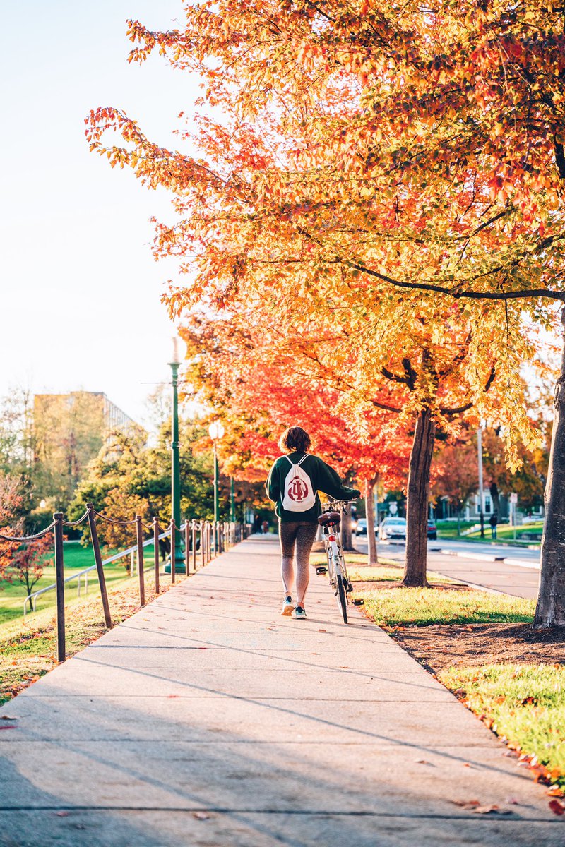 alexpaulphoto's tweet photo. Indiana University = The most beautiful campus in the country. https://t.co/ImjIrFwuuJ