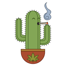 komprimat's tweet photo. in tha Streets is Ruffer than Ruff 😉

#Reggaevolution 
#Entkriminalisierungindenersten100Tagen
#CannabisFreigabe
#LegalisierungJETZT
🔥🔥🔥🔥🔥
https://t.co/XjPuwIbQSF https://t.co/NTPIP7C71f