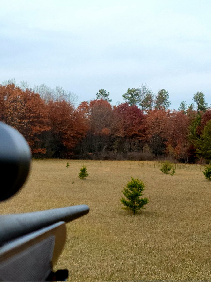 LaDDyTTV's tweet photo. I know I've been MIA this weekend, but I am currently in a deer stand 🦌 will be home hopefully tonight. If I fill the freezer! #deeropener #DeerCampMN https://t.co/sqCrbApv1M