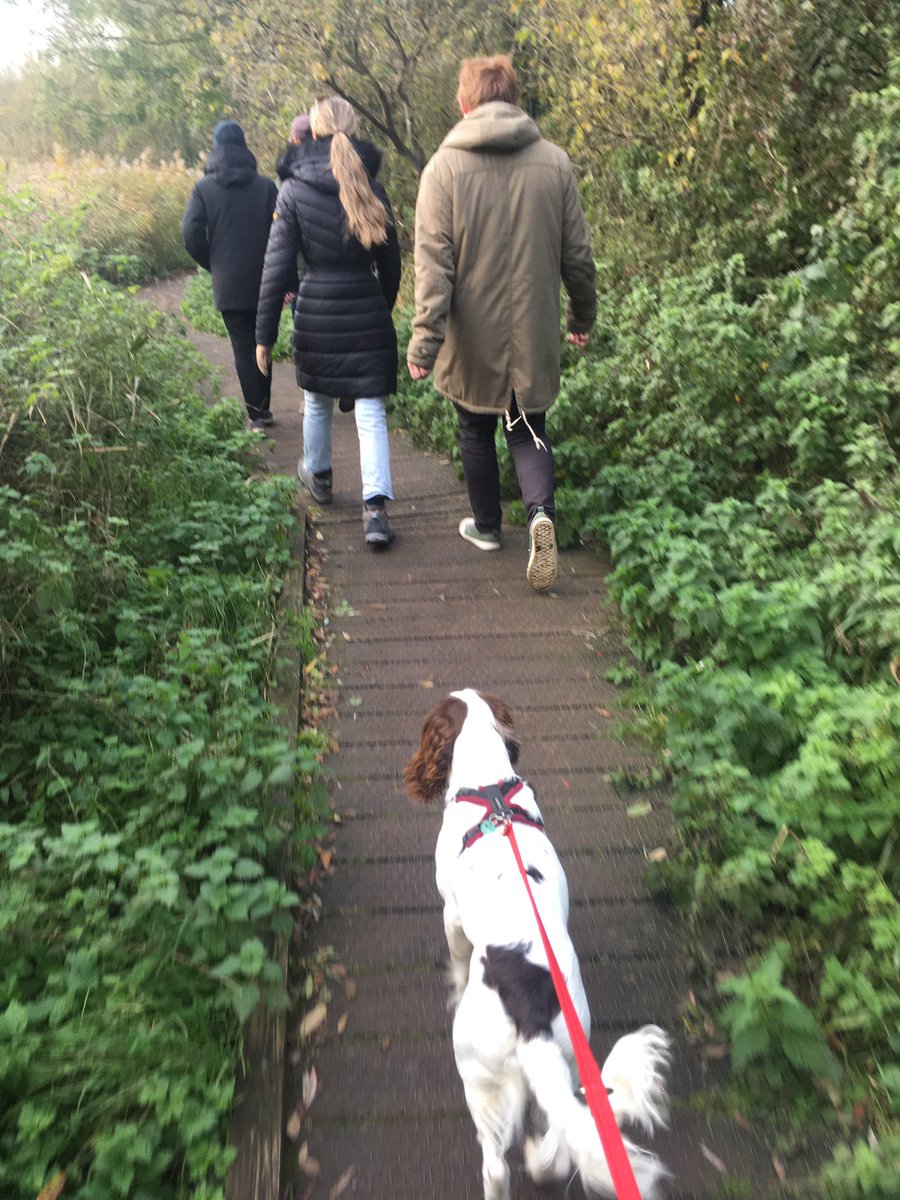 Sunday funday 😊 dog walks with friends, catching up on bake off, takeaway and now heading out to watch Spencer 🍿
