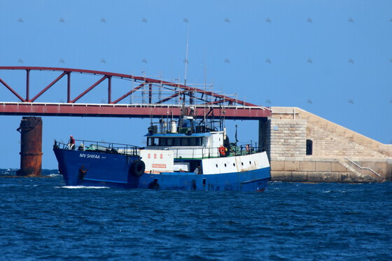 Shipguru's tweet photo. #Libyan #Fishfarm #SupportVessel #SHIFAA  #entering #grandharbourmalta  - 06.09.2021 - https://t.co/nfgboxc3g3 - NO PHOTOS can be used or manipulated without our permission @EufaFisheries @EAPO_EUfishPOs @EUFisheries @ICCAT https://t.co/T8vYAeyAp7