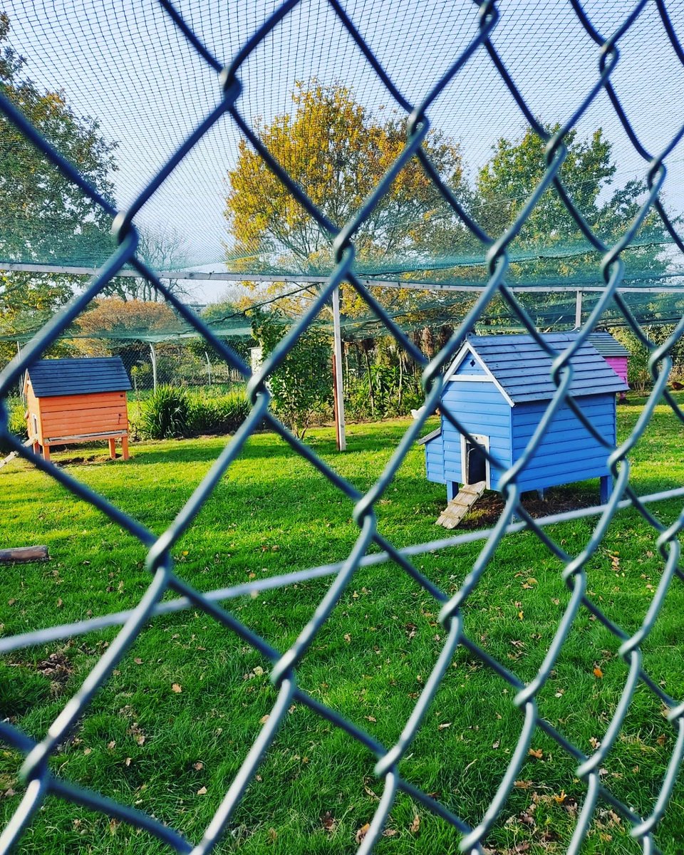 theculinarycelt's tweet photo. Beautiful day today at the house, gardens, café and farm of @AirfieldEstate 
This 38-acre estate mindfully pushes the boundaries of what agricultural land can achieve 🌱 
...Where should I visit for my next weekend day trip? 
#sustainability #foodeducation #farmtoform https://t.co/aGVsJcatYa