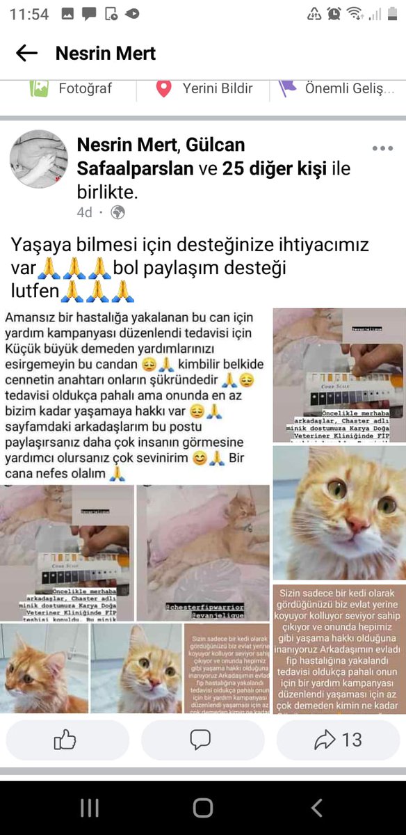 VildanKaba5's tweet photo. @Ninizeoney https://t.co/4w0oefN4EZ