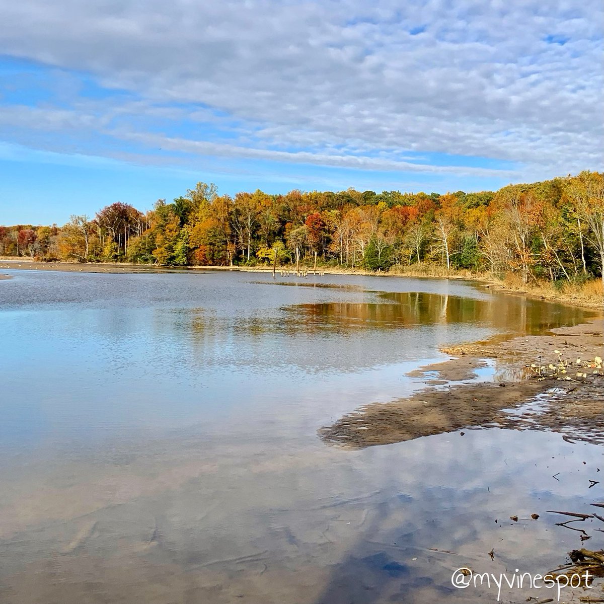 myvinespot's tweet photo. It's a beautiful day for an autumn stroll! 🍂🍁
#fall #autumn #fallinva #beautiful #fallcolors #MotherNature #nature #walkingtrail https://t.co/vv7tceGd7N