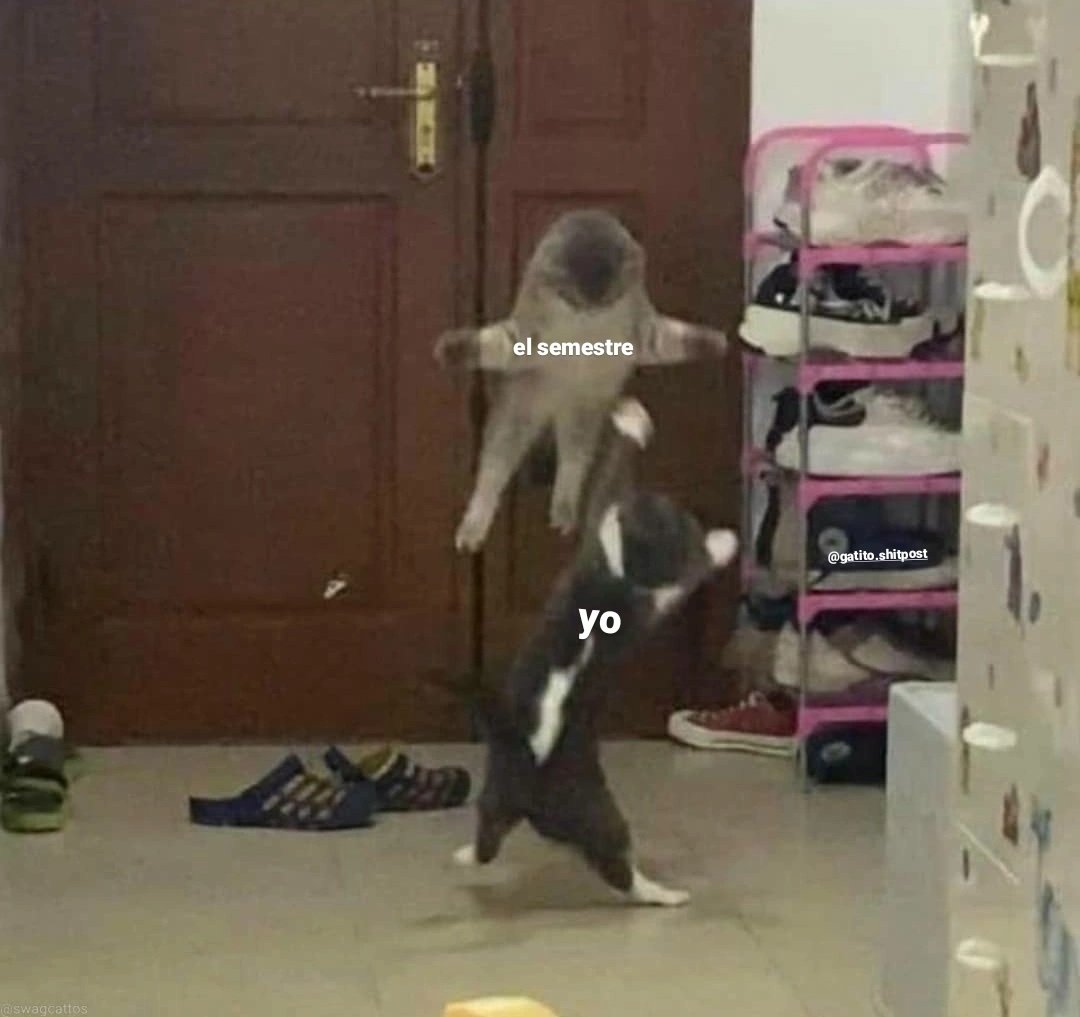 gatito_shitpost's tweet photo. soy https://t.co/fC0jaGVXCG