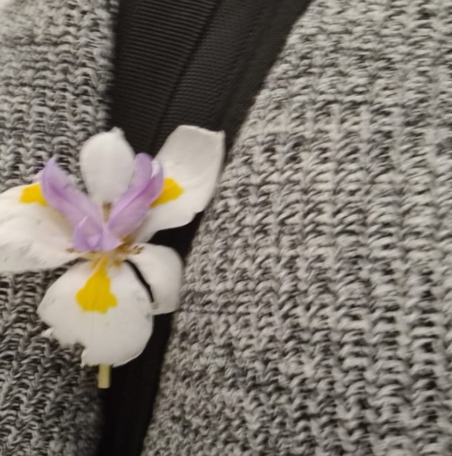 lashes_justine's tweet photo. #bloom #forever https://t.co/iOO3U9AOYE