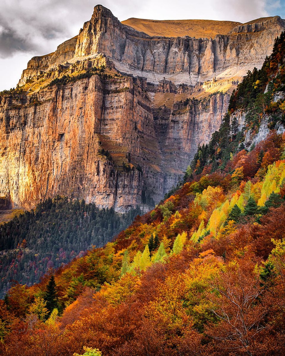 CimaNorte's tweet photo. La magia de Ordesa y sus verticales laderas acompañadas de los vestidos otoñales de sus bosques. Impresionante 🏔🌲🍁

// Imagen de Javier González Martín 

#Fotografía #Pirineo https://t.co/3hCvCWwbNd