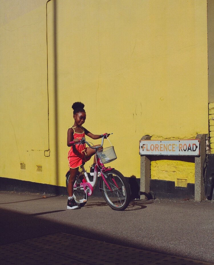 dan wood tweet media