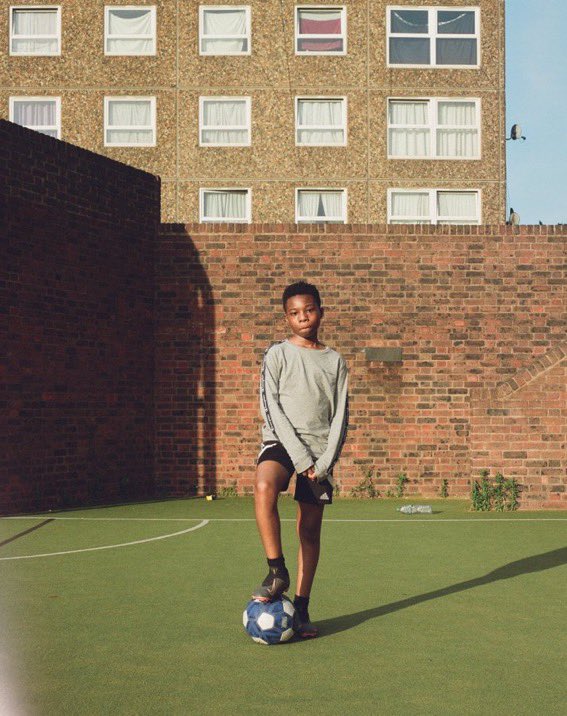 dan wood tweet media