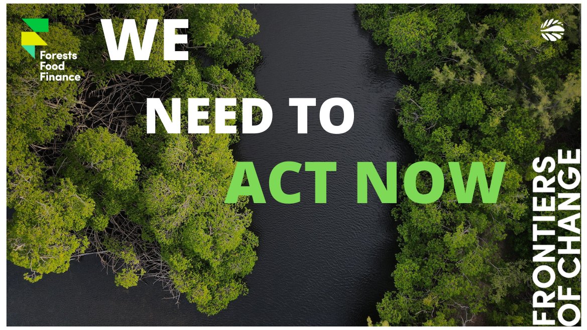 Over the three days of the #GLFClimate hybrid conference, the interrelated topics of forests, food, and finance, transforming them into a coherent set of integrated climate actions in order to further the investment case were addressed. It's upon us now.