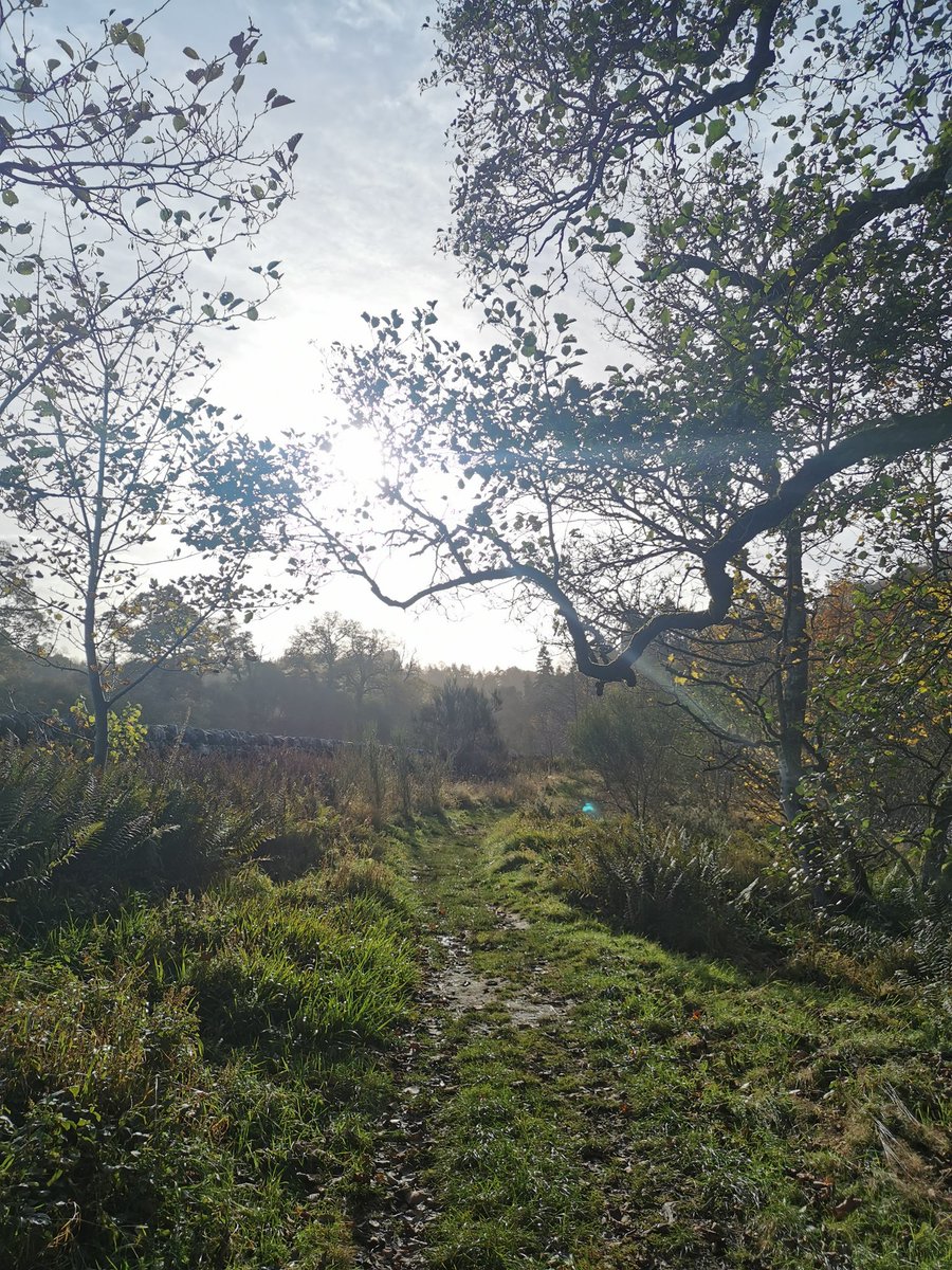 medical_brog's tweet photo. Sunday well spent at Allen Banks 🌿🍂🍁 https://t.co/pmql0L3ZKi