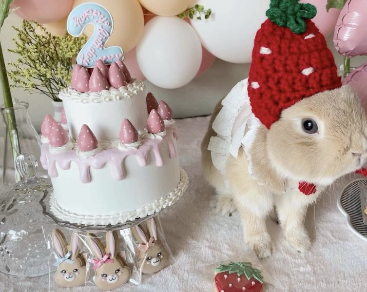 seokuva's tweet image. so so cute 🥺🐰🍓🎂