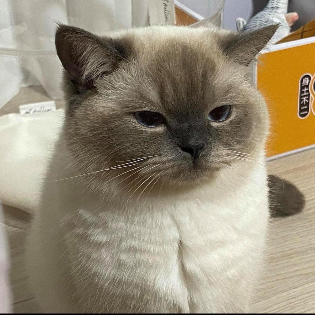น่ารักแบบไม่ไหวววว อยากจกเหนียงงงงง