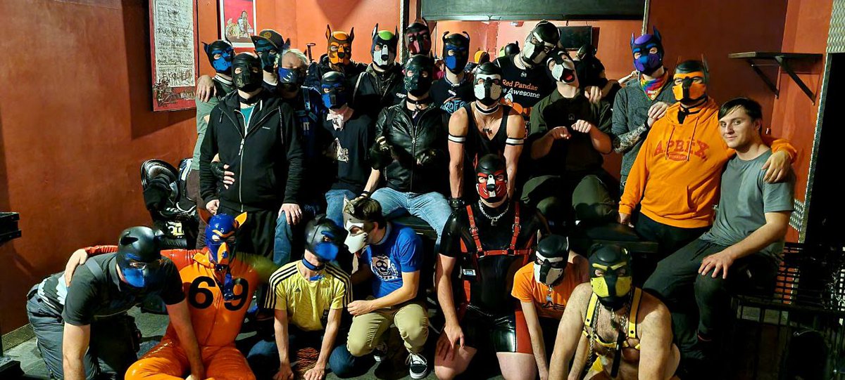 Pup_Cody tweet media