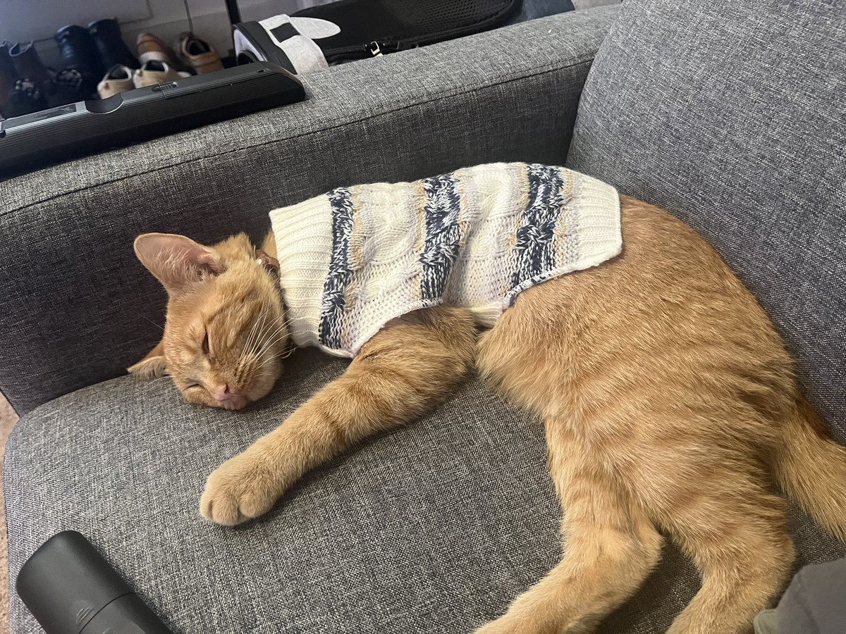 Colin Hamill tweet media