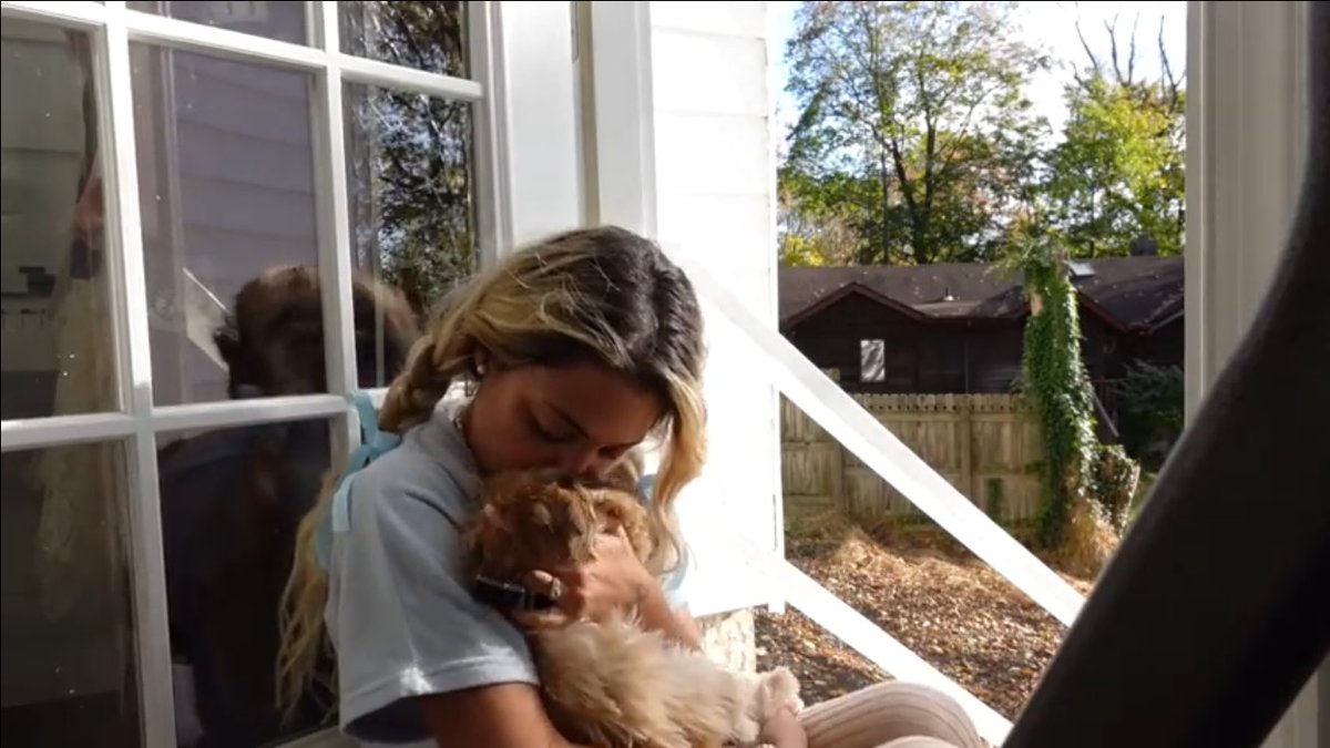 fionalovesgabi's tweet photo. gab and bear being cute af https://t.co/GbJAkUjjRj