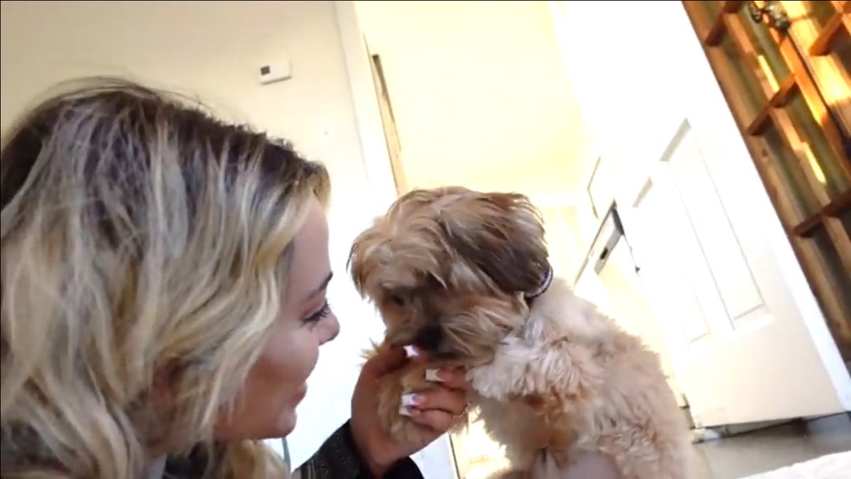 fionalovesgabi's tweet photo. gab and bear being cute af https://t.co/GbJAkUjjRj
