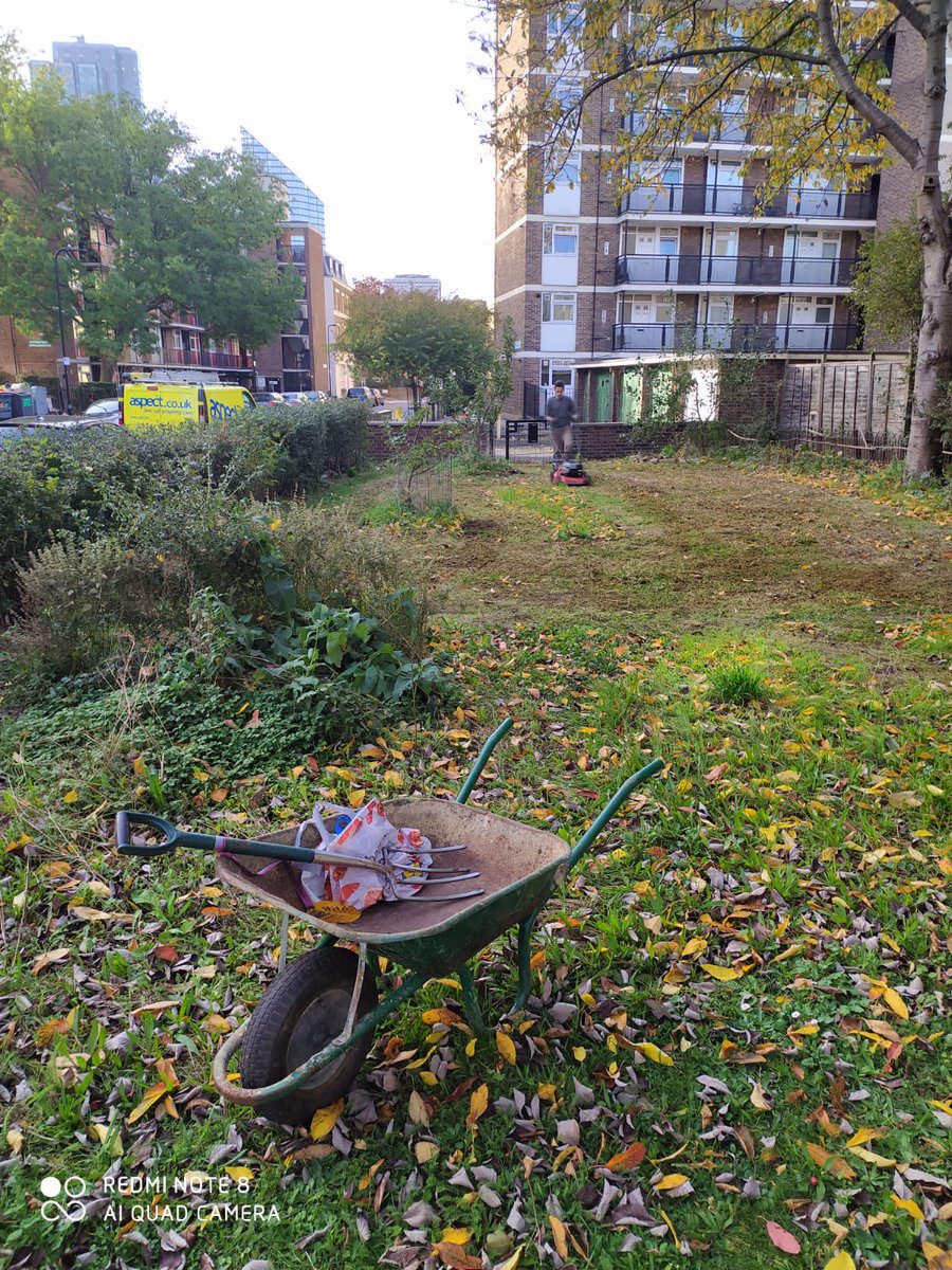 OrchardWenlock's tweet photo. Nice mix of bulbs went in to the orchard today including some Tenby daffodils. White campion and comfrey still in flower and dog wood just bursting into flower from new buds #communityorchard #bulbplanting #notspring #climatechange https://t.co/un7QyW7mdN