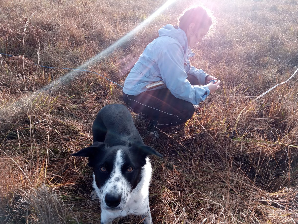 Veronica Furey tweet media