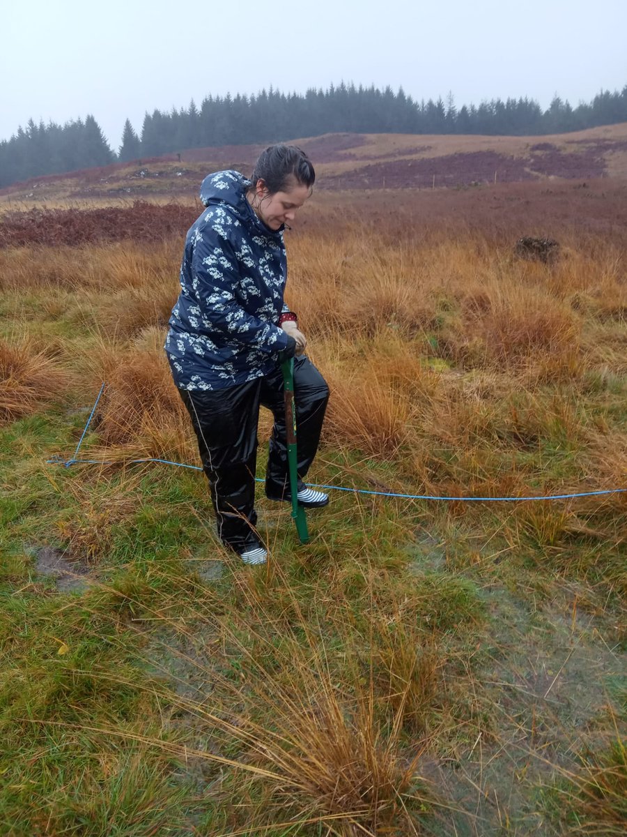 Veronica Furey tweet media