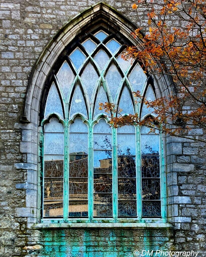 DMPhotosGalway's tweet photo. #Autumncolours at #stnicholaschurchgalway #galway #thisisgalway #visitgalway #loveconnacht #wildatlanticway #galwaytourism #irelandwest #thelatinquartergalway #reflections #windows #church #autumn #leaves #november #blue #architecture #historyofgalway #galwaywalkingtour https://t.co/oDxOujMs38