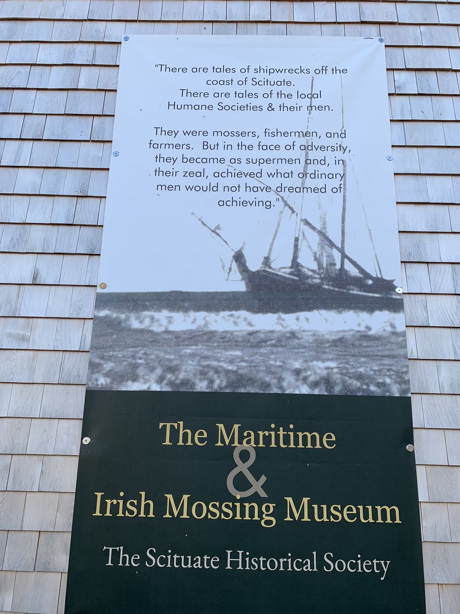 Daniel Mulhall tweet media