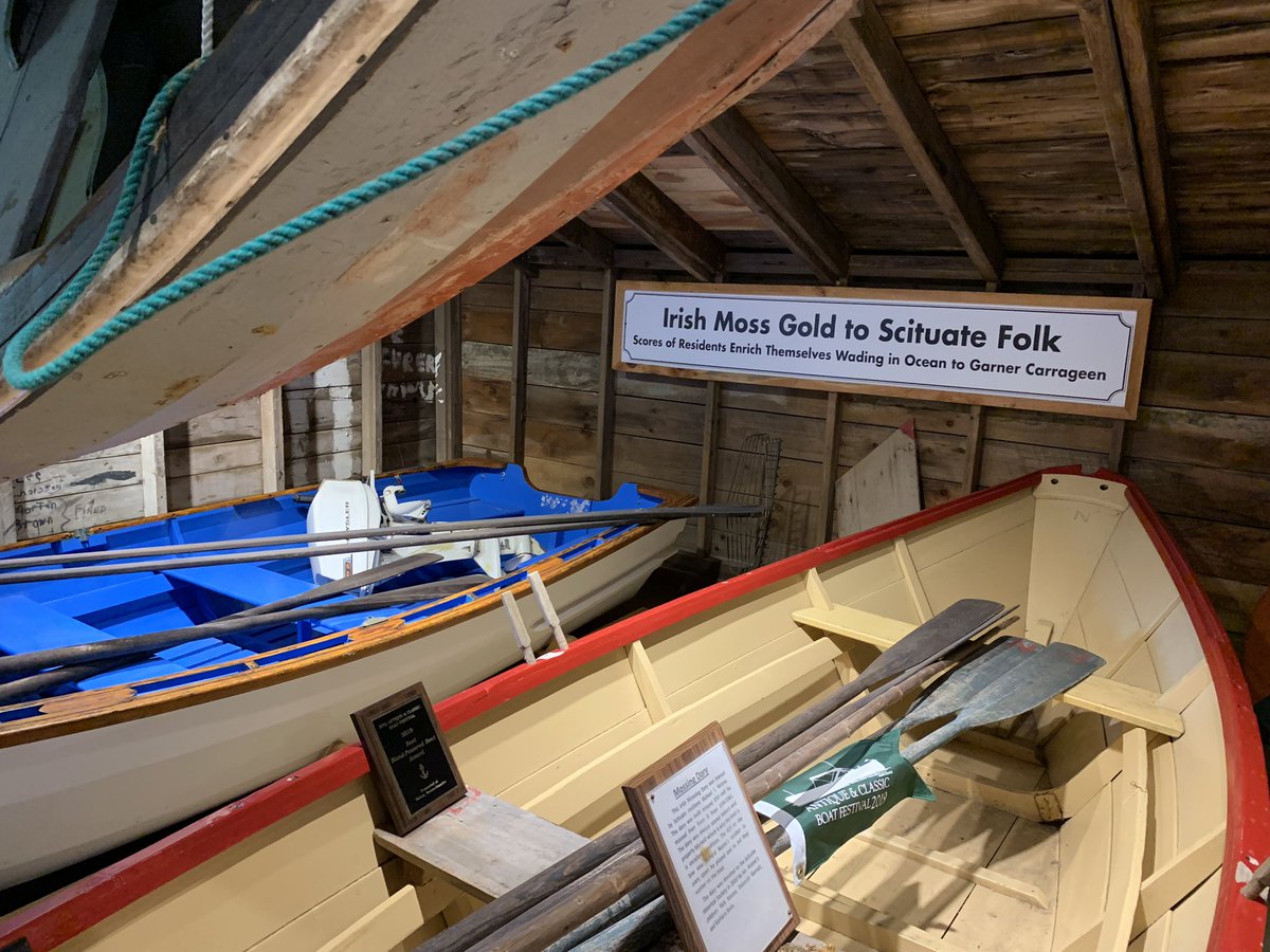 Daniel Mulhall tweet media