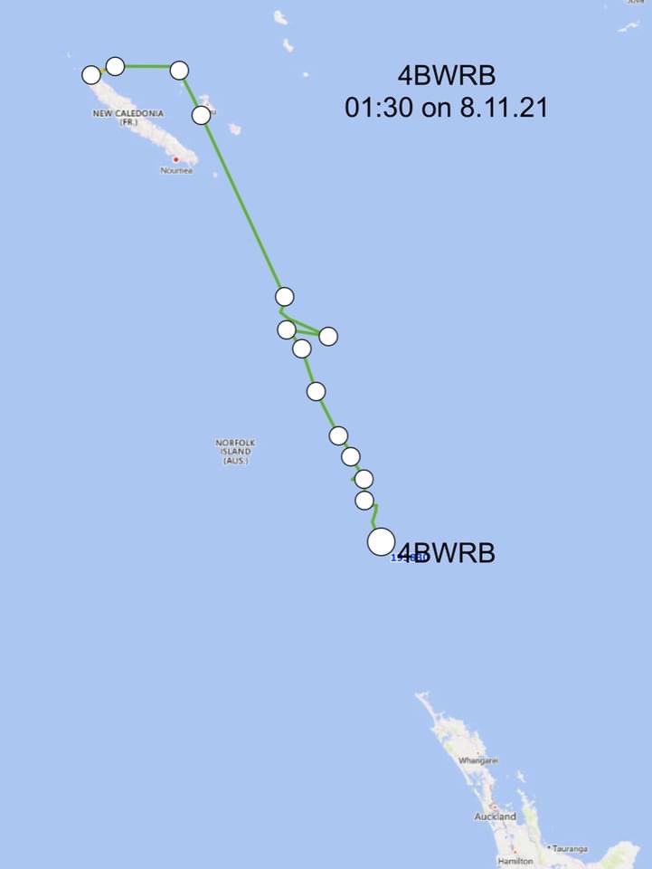 miranda_trust's tweet photo. The transmitter godwits that have been resting in New Caledonia for sometime are now on their way to New Zealand, hopefully we can catch up with them as soon as the COVID restrictions are eased https://t.co/nUe2XiSaL4