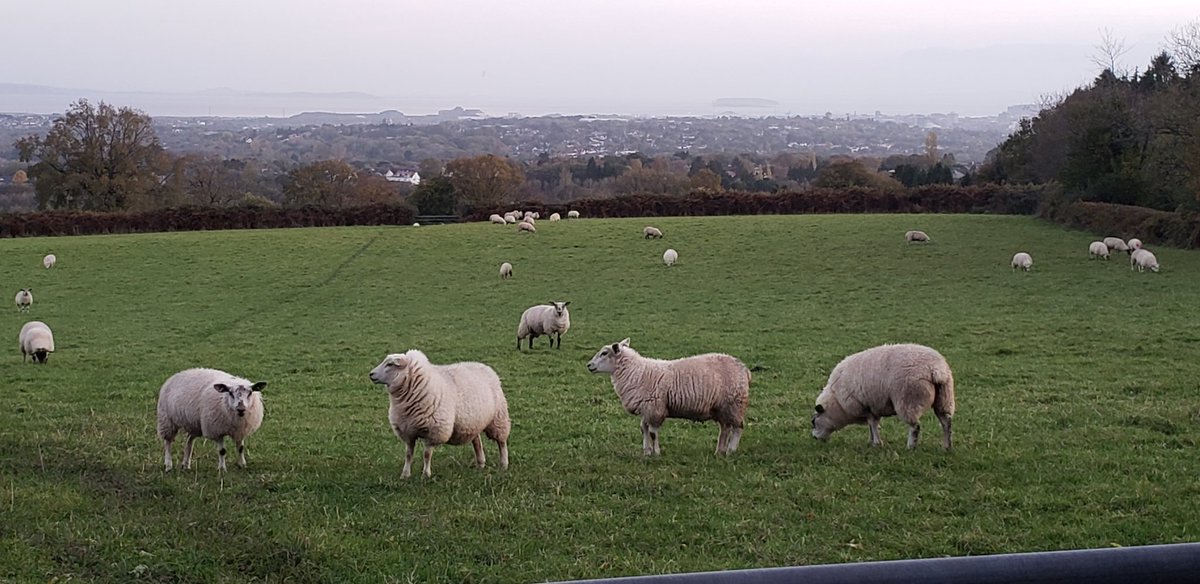 3-hours walk to Lisvane, such a lovely place so close to Cardiff 🤩🏴󠁧󠁢󠁷󠁬󠁳󠁿
