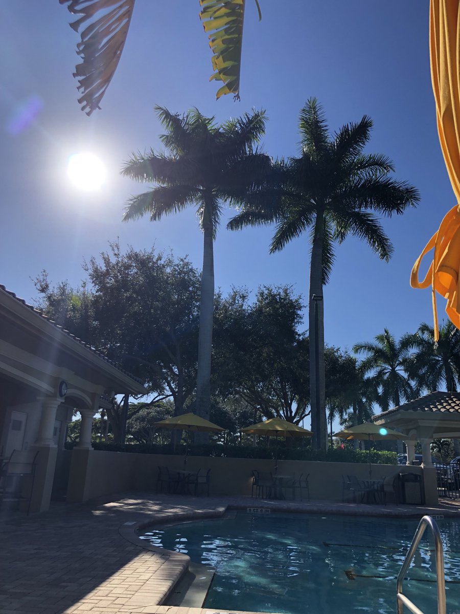 hossjdoh's tweet photo. Just another perfect day here in Naples!! https://t.co/u1iVjC5pdZ