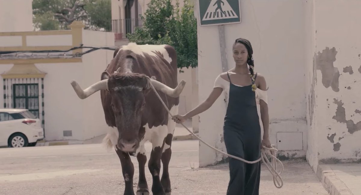 JofreFont's tweet photo. Mucho, mucho, mucho, mucho arte és el que hi ha a "Nueve Sevillas", el documental guanyador de la categoria nacional del Festival #Inedit2021.
Art flamenc emergint de tots els racons de la capital andalusa i de gent vinguda d'arreu. https://t.co/uIP7owa29u