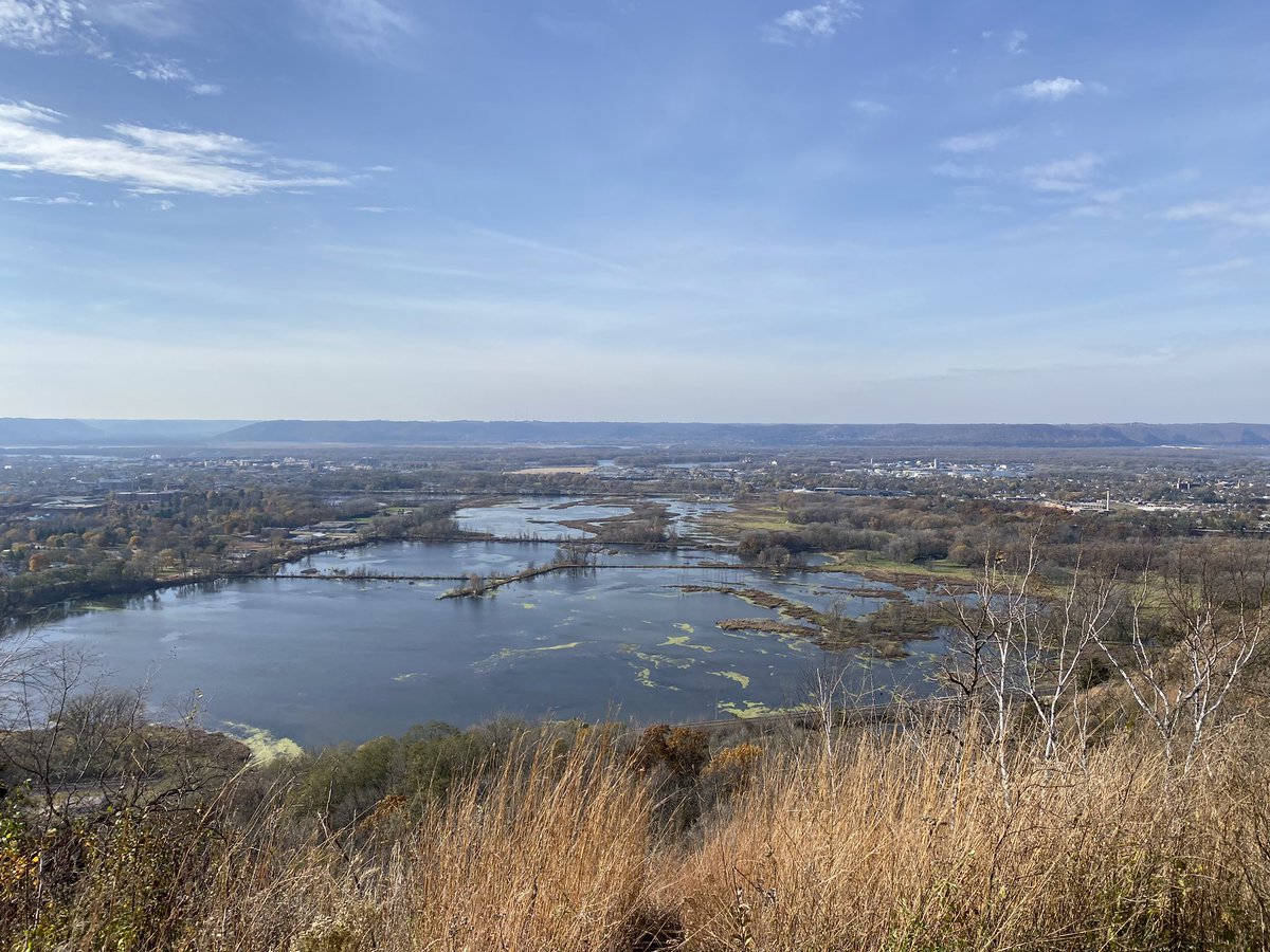 Steve Smith tweet media