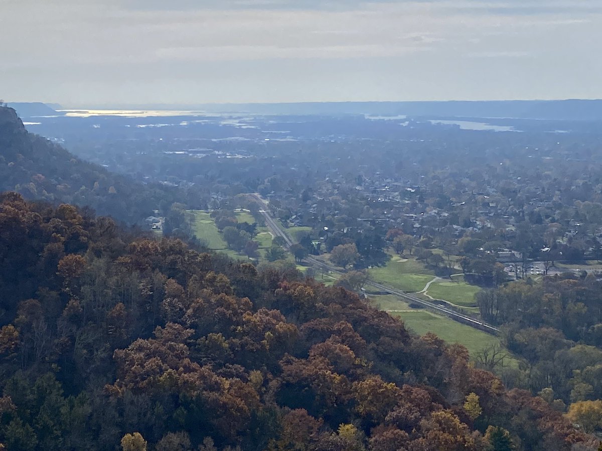 Steve Smith tweet media