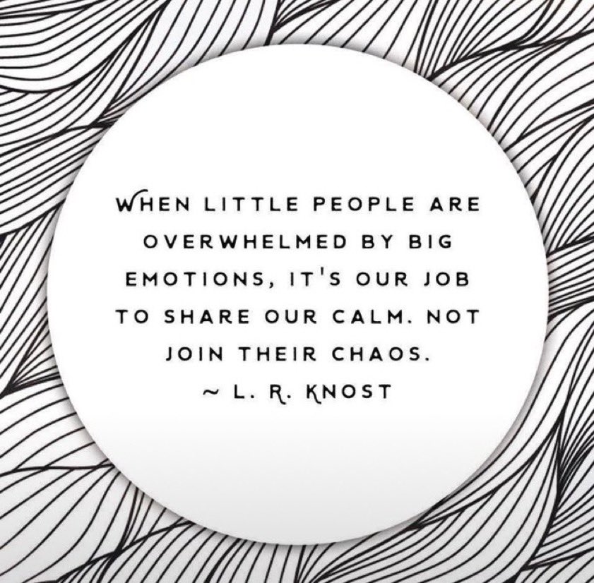 PetraLucock's tweet photo. The daily challenge of an EYFS practitioner #eyfs #earlyyears #selfregulation @laudeladyelizab @LadyElizabethES https://t.co/St0V01jsHQ