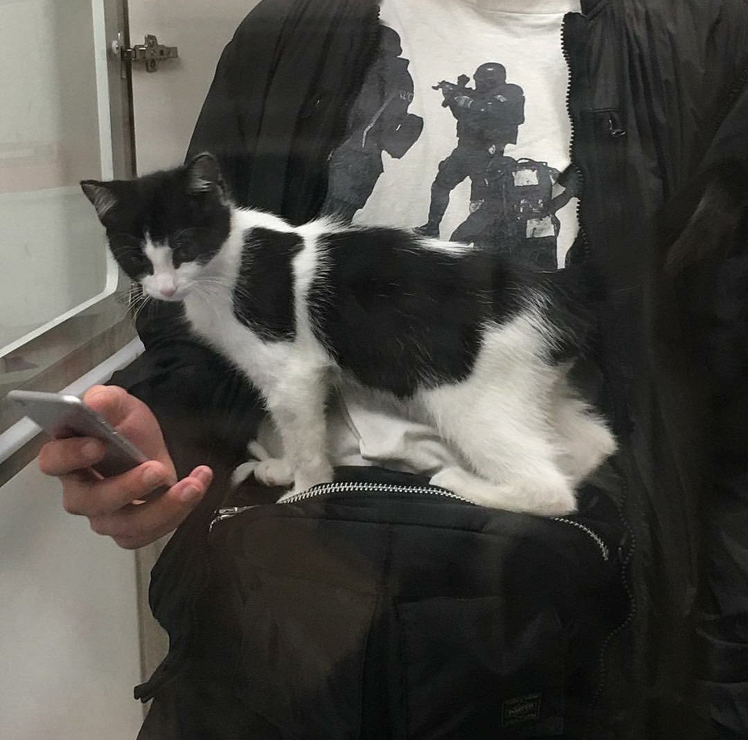 SL0WD13's tweet image. ⠀⠀⠀⠀⠀⠀ 
⠀⠀⠀⠀⠀⠀ 
⸻ słabo potrafię w zapoznawcze jak widać, ale obiecuję, że moje wejście na wasze dm będzie ciekawsze niż ten post, dlatego polecam zaryzykować.

⊳ #heart : dm

⊳ #rt : my graditute
⠀⠀⠀⠀⠀⠀ 
⠀⠀⠀⠀⠀⠀