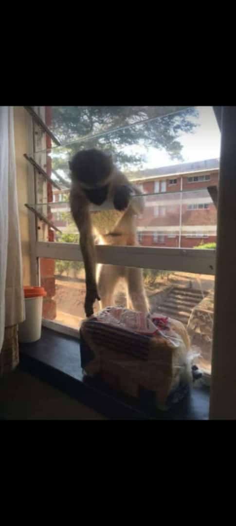 MaDhliwayo_M's tweet image. Zvikuitika kuma hostels at Chinhoyi University.