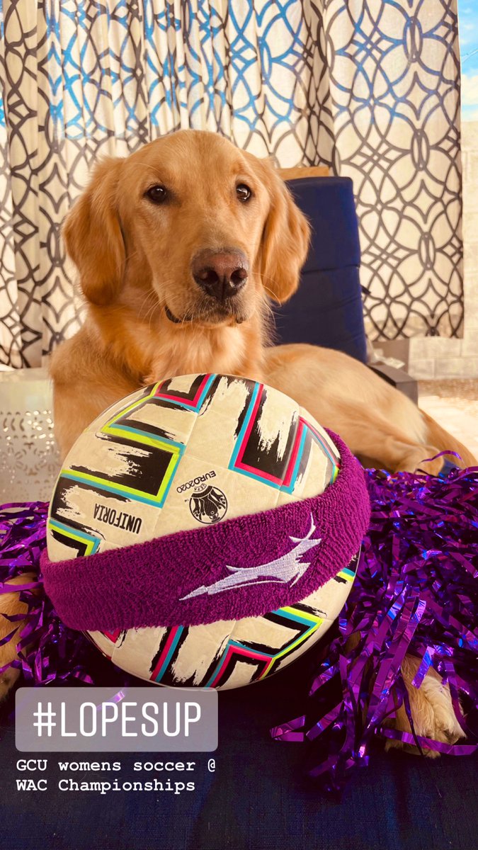 Cheering on <a href="/GCU_WSoccer/">GCU Women's Soccer</a> in the <a href="/WACsports/">The Western Athletic Conference</a> Championship game! #lopesup