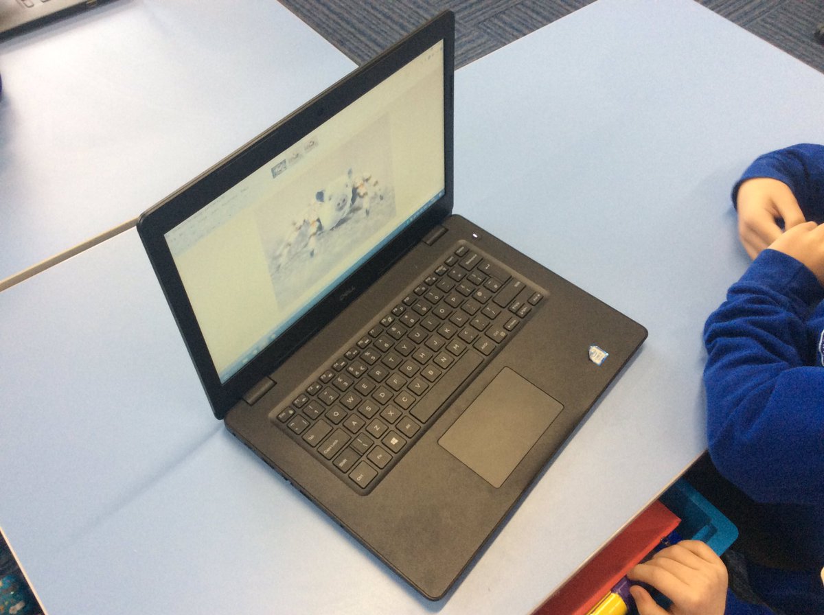 NewBrightonPS's tweet photo. Class 13 continued editing images in #computing this week. We changed the composition by selecting parts of one image and combining it with another @NBPSComputing #nbpsComputing @WeAreComputing #paintdotnet https://t.co/6izMhEfRZn